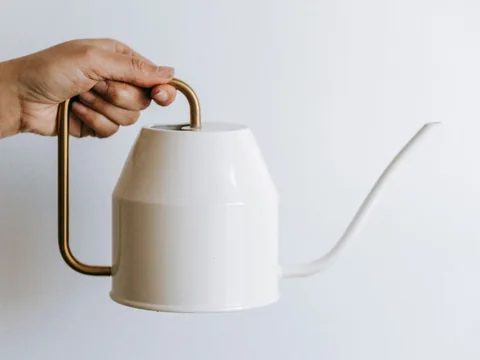 White watering can
