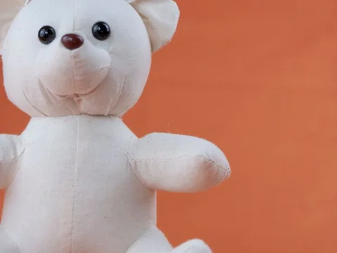 A white teddy bear