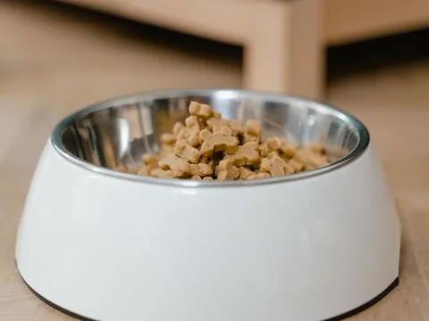 Pet feeding bowl