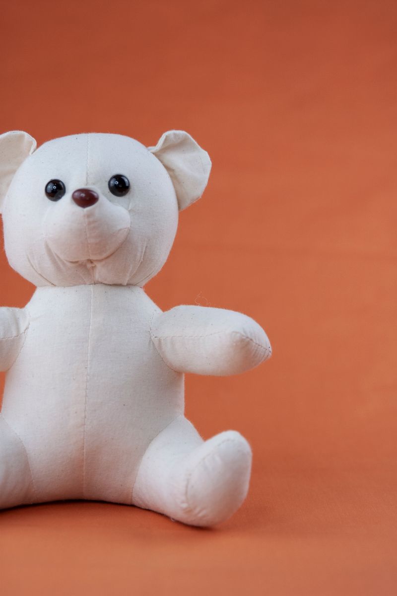 A white teddy bear