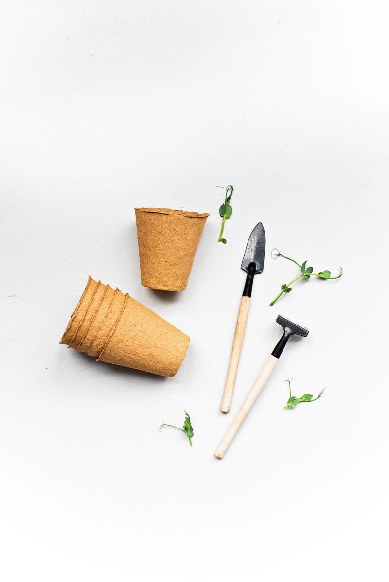 Plant pots and gardening tools