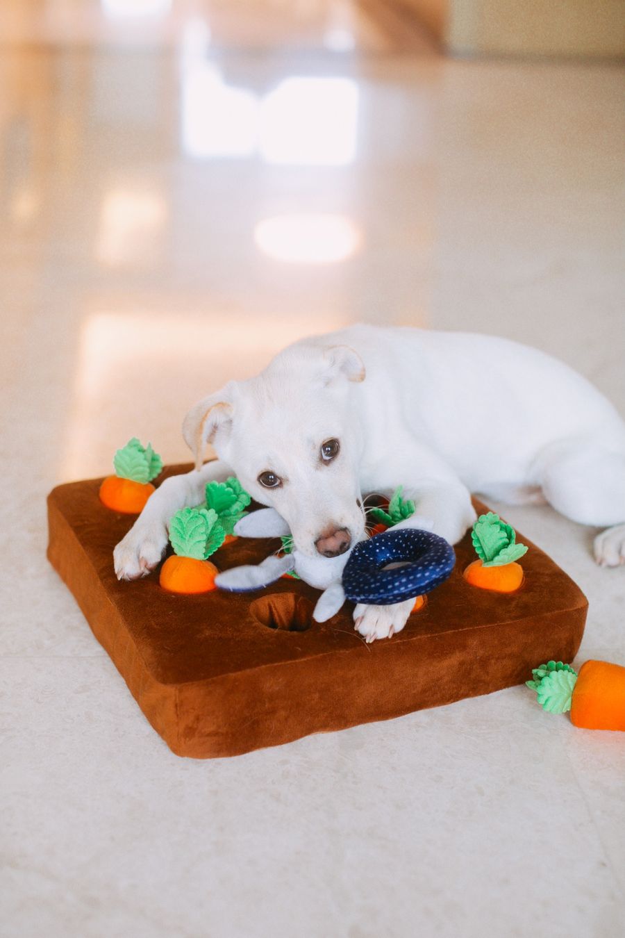 Carrot-shaped pet enrichment toy