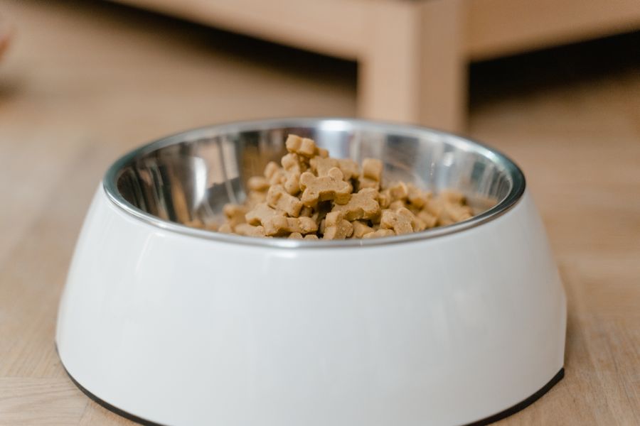 Pet feeding bowl