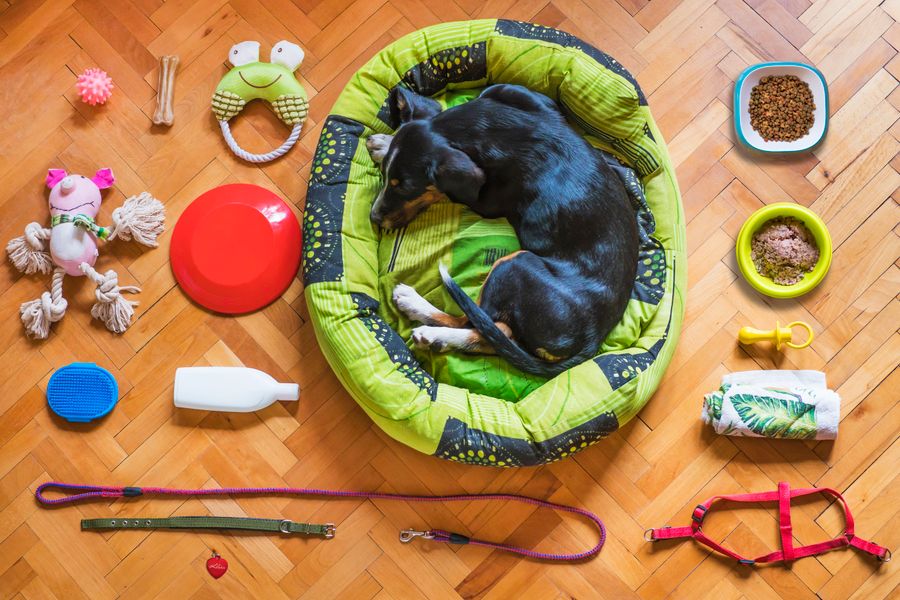 Pet bed and accessories